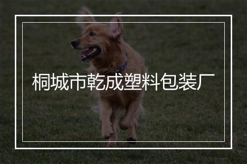 桐城市乾成塑料包装厂