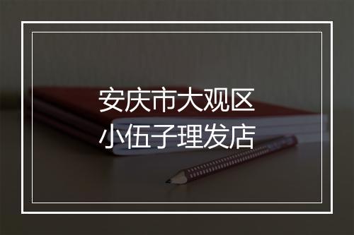 安庆市大观区小伍子理发店