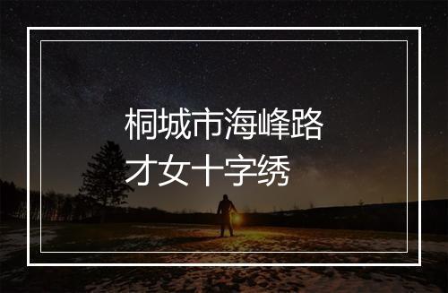 桐城市海峰路才女十字绣