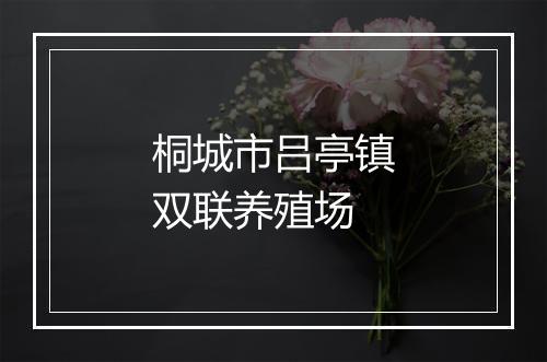 桐城市吕亭镇双联养殖场