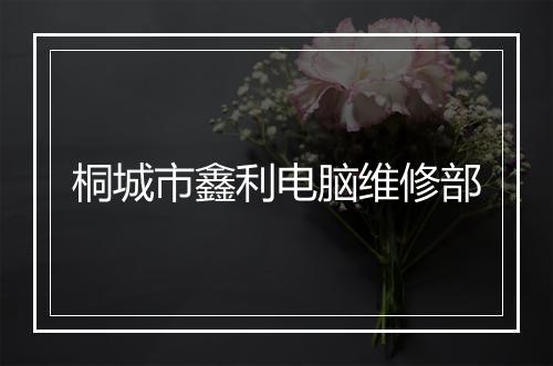 桐城市鑫利电脑维修部