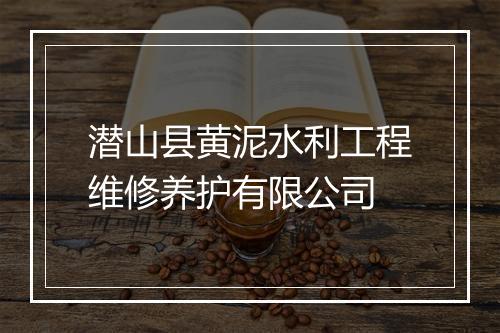 潜山县黄泥水利工程维修养护有限公司