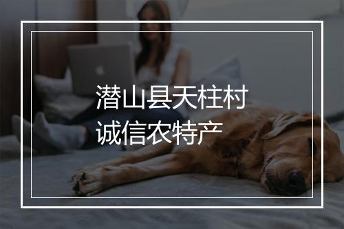 潜山县天柱村诚信农特产