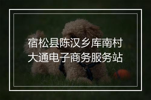 宿松县陈汉乡库南村大通电子商务服务站