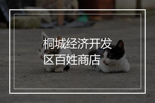 桐城经济开发区百姓商店