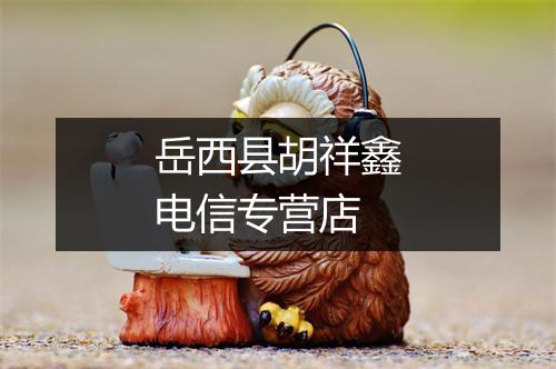 岳西县胡祥鑫电信专营店