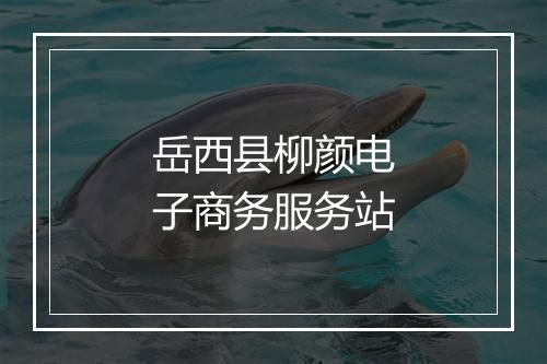 岳西县柳颜电子商务服务站