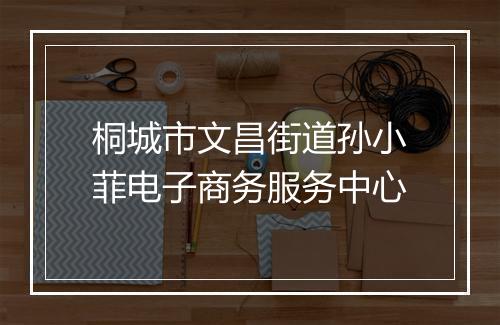 桐城市文昌街道孙小菲电子商务服务中心