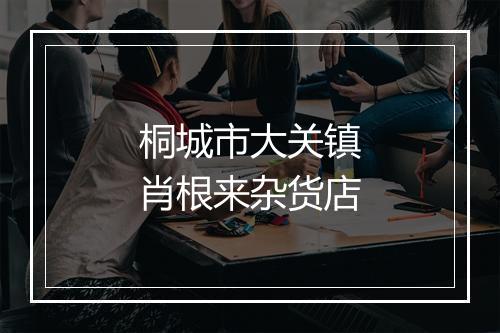 桐城市大关镇肖根来杂货店