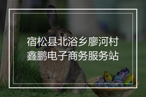 宿松县北浴乡廖河村鑫鹏电子商务服务站