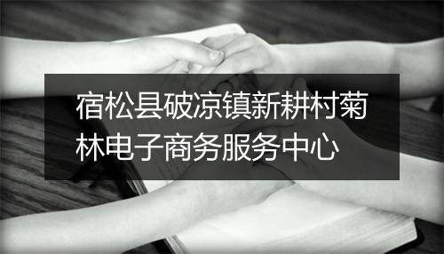 宿松县破凉镇新耕村菊林电子商务服务中心