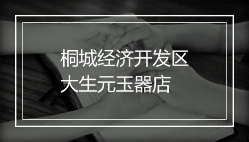 桐城经济开发区大生元玉器店