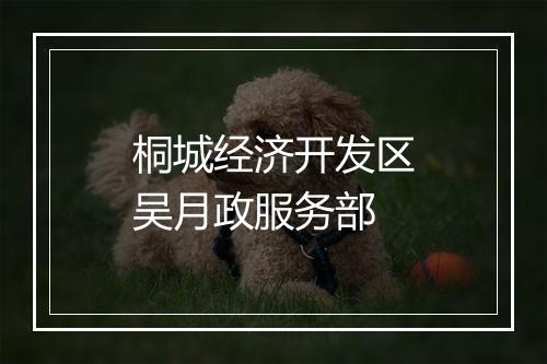 桐城经济开发区吴月政服务部