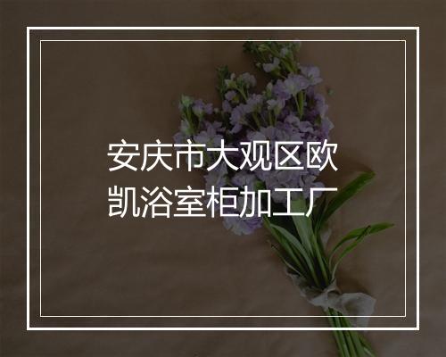 安庆市大观区欧凯浴室柜加工厂