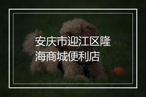 安庆市迎江区隆海商城便利店