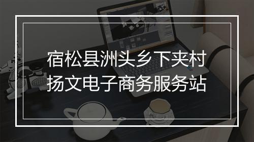 宿松县洲头乡下夹村扬文电子商务服务站