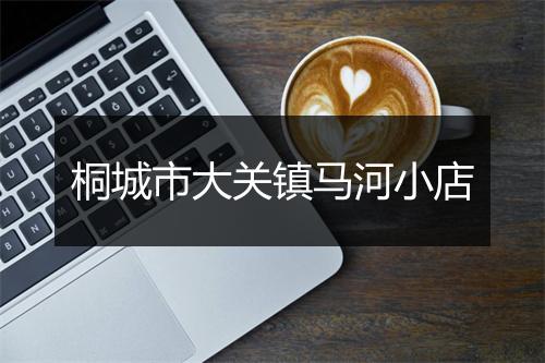 桐城市大关镇马河小店