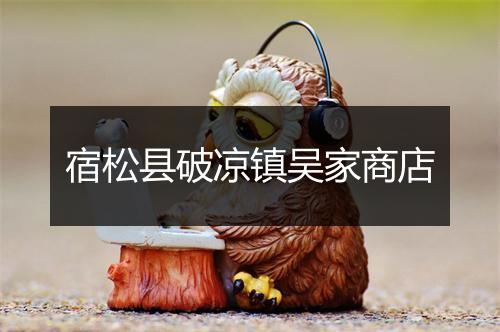 宿松县破凉镇吴家商店