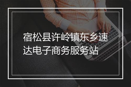 宿松县许岭镇东乡速达电子商务服务站