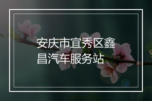 安庆市宜秀区鑫昌汽车服务站