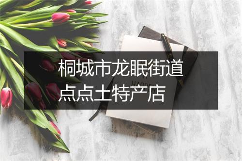 桐城市龙眠街道点点土特产店