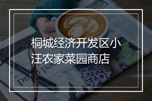 桐城经济开发区小汪农家菜园商店