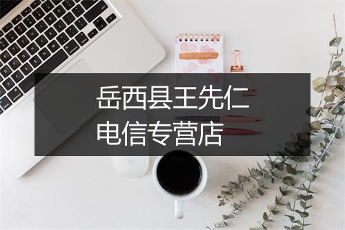 岳西县王先仁电信专营店