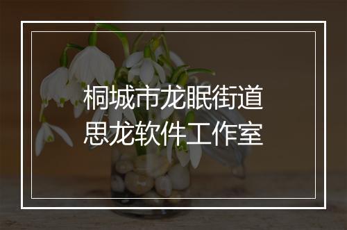 桐城市龙眠街道思龙软件工作室