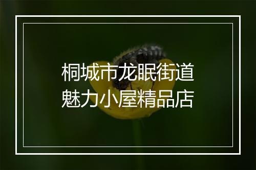 桐城市龙眠街道魅力小屋精品店
