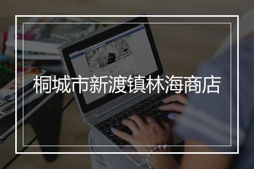 桐城市新渡镇林海商店