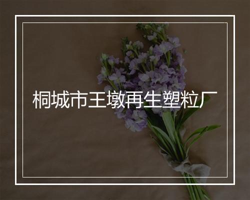 桐城市王墩再生塑粒厂