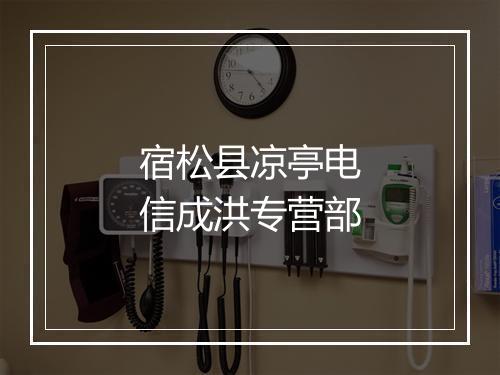 宿松县凉亭电信成洪专营部