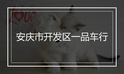 安庆市开发区一品车行
