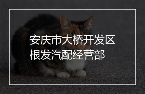 安庆市大桥开发区根发汽配经营部