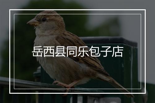 岳西县同乐包子店