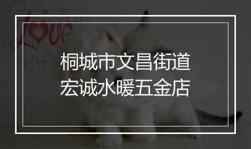 桐城市文昌街道宏诚水暖五金店