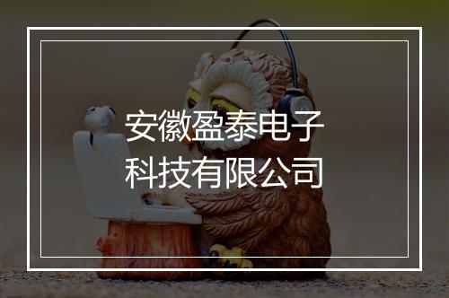 安徽盈泰电子科技有限公司