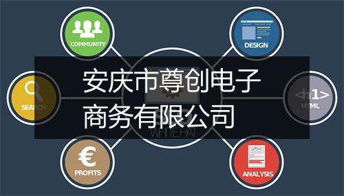 安庆市尊创电子商务有限公司