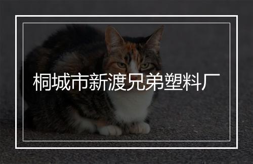 桐城市新渡兄弟塑料厂