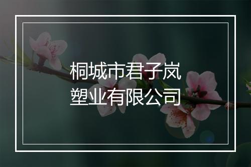 桐城市君子岚塑业有限公司