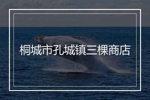 桐城市孔城镇三棵商店