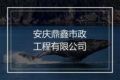 安庆鼎鑫市政工程有限公司
