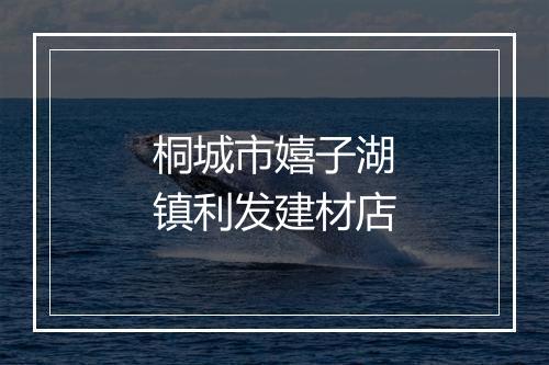 桐城市嬉子湖镇利发建材店