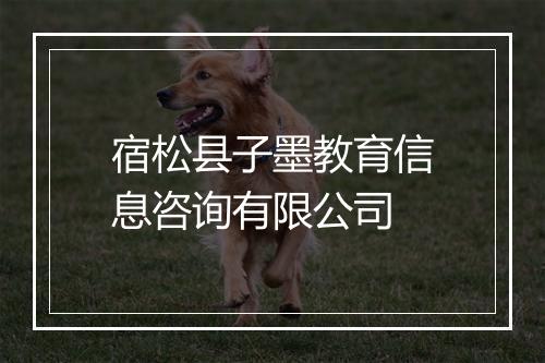 宿松县子墨教育信息咨询有限公司