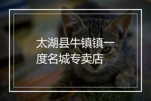 太湖县牛镇镇一度名城专卖店