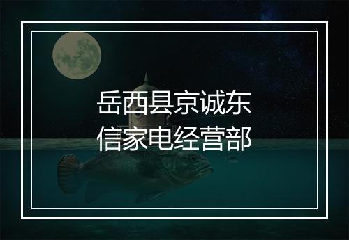 岳西县京诚东信家电经营部