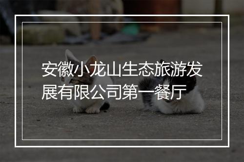 安徽小龙山生态旅游发展有限公司第一餐厅