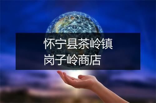 怀宁县茶岭镇岗子岭商店