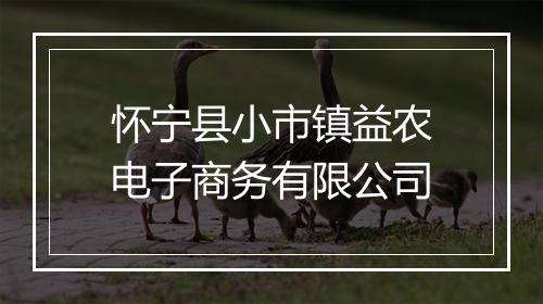 怀宁县小市镇益农电子商务有限公司
