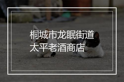桐城市龙眠街道太平老酒商店